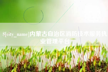 项城内蒙古自治区消防技术服务执业管理平台