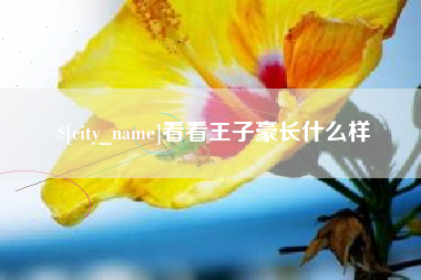 项城看看王子豪长什么样