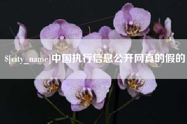 项城中国执行信息公开网真的假的