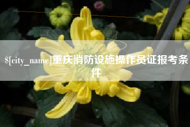 项城重庆消防设施操作员证报考条件