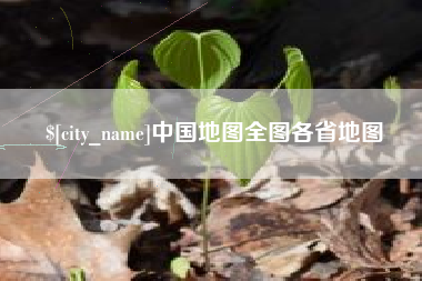 项城中国地图全图各省地图