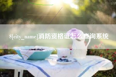 项城消防资格证怎么查询系统