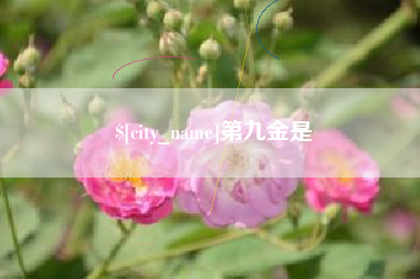 项城第九金是