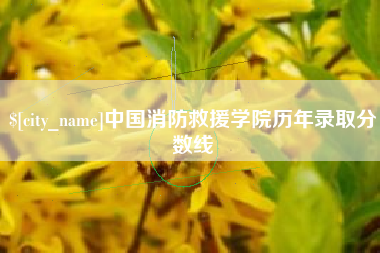 项城中国消防救援学院历年录取分数线