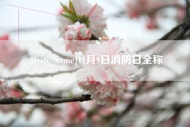 项城11月9日消防日全称