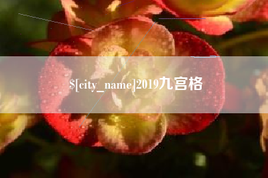 项城2019九宫格
