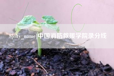 项城中国消防救援学院录分线