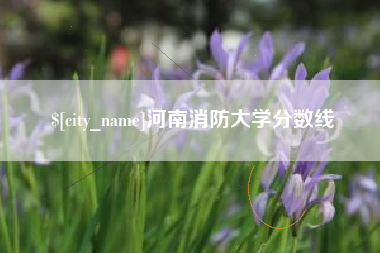 项城河南消防大学分数线
