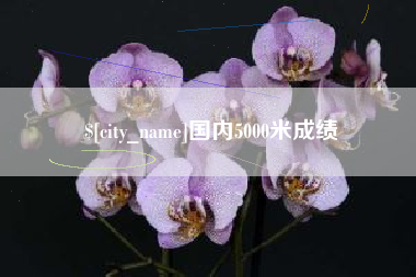 项城国内5000米成绩