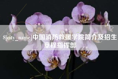 项城中国消防救援学院简介及招生章程指挥部