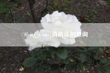 项城消防证的查询