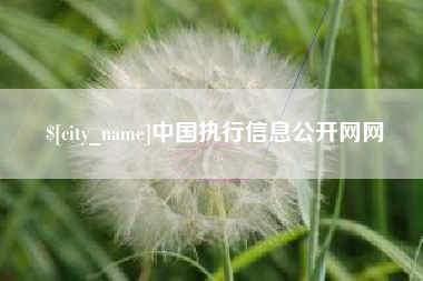 项城中国执行信息公开网网