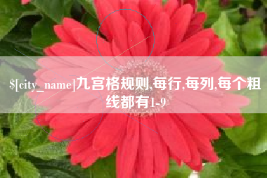 项城九宫格规则,每行,每列,每个粗线都有1-9