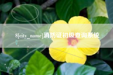 项城消防证初级查询系统
