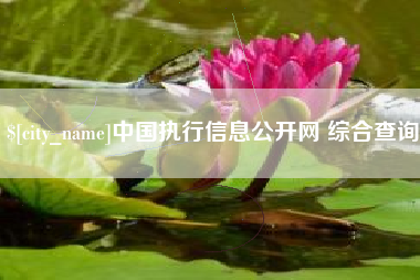 项城中国执行信息公开网 综合查询