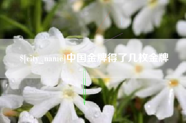 项城中国金牌得了几枚金牌
