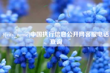 项城中国执行信息公开网客服电话查询