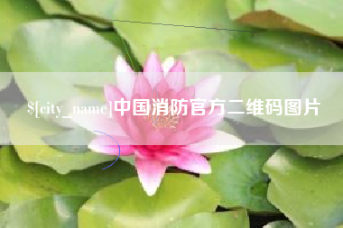 项城中国消防官方二维码图片