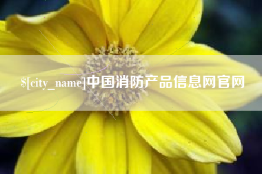 项城中国消防产品信息网官网
