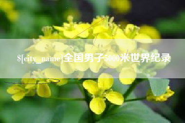 项城全国男子5000米世界纪录