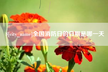 项城全国消防日的日期是哪一天