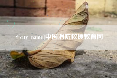 项城中国消防救援教育网