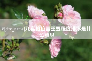 项城九宫格位置重要程度排序是什么意思