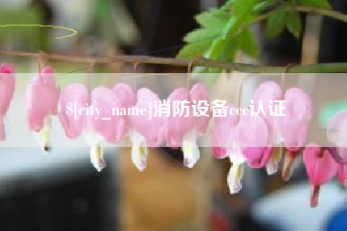 项城消防设备ccc认证