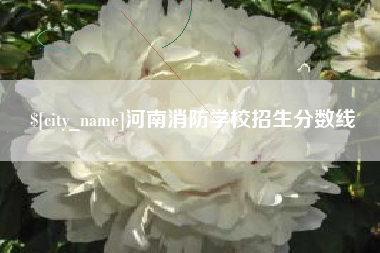项城河南消防学校招生分数线