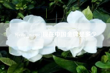 项城现在中国金牌是多少