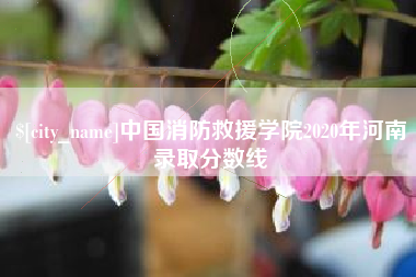 项城中国消防救援学院2020年河南录取分数线