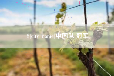 项城中国队 冠军