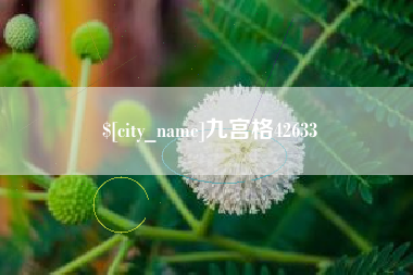 项城九宫格42633