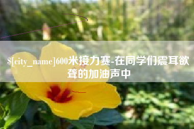 项城600米接力赛-在同学们震耳欲聋的加油声中