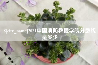 项城2021中国消防救援学院分数线是多少