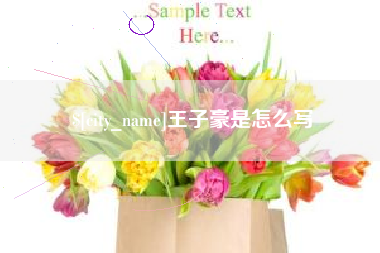 项城王子豪是怎么写