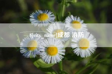 项城成都 消防