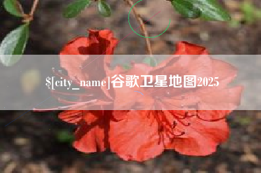 项城谷歌卫星地图2025