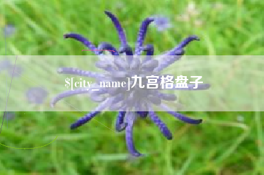 项城九宫格盘子