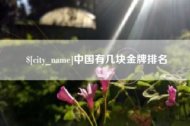 项城中国有几块金牌排名