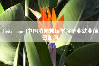 项城中国消防救援学院毕业就业前景如何