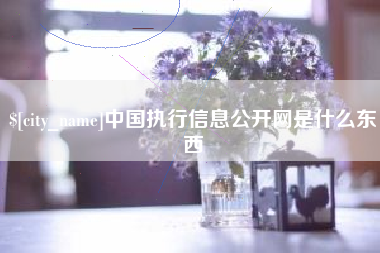 项城中国执行信息公开网是什么东西