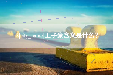 项城王子豪含义是什么？