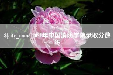 项城2021年中国消防学院录取分数线