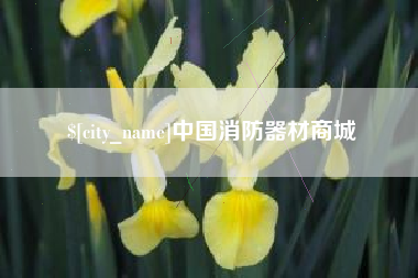 项城中国消防器材商城