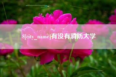 项城有没有消防大学