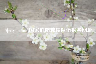 项城国家消防救援队伍报名网址