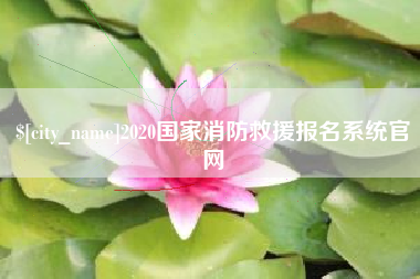 项城2020国家消防救援报名系统官网