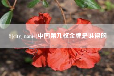 项城中国第九枚金牌是谁得的
