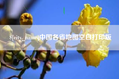 项城中国各省地图空白打印版